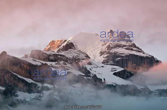 : Jungfrau Region, Switzerland. Jungfrau massif : Jungfrau Region, Switzerland. Jungfrau massif