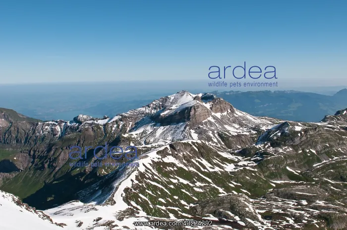 : Jungfrau Region, Switzerland. Jungfrau massif : Jungfrau Region, Switzerland. Jungfrau massif