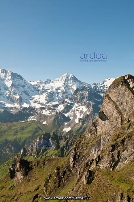 : Jungfrau Region, Switzerland. Jungfrau massif : Jungfrau Region, Switzerland. Jungfrau massif
