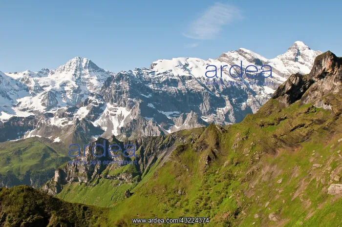 : Jungfrau Region, Switzerland. Jungfrau massif : Jungfrau Region, Switzerland. Jungfrau massif