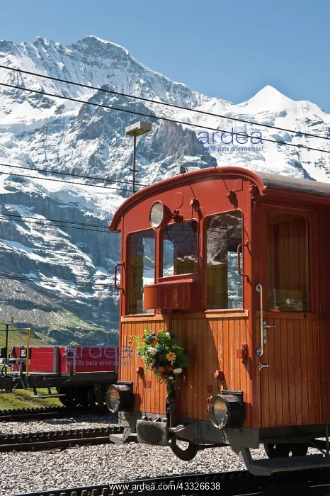 : Jungfrau Region, Switzerland. Jungfrau massif : Jungfrau Region, Switzerland. Jungfrau massif