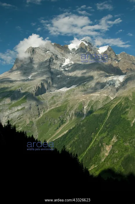 : Jungfrau from upper Lauterbrunnen Valley : Jungfrau from upper Lauterbrunnen Valley