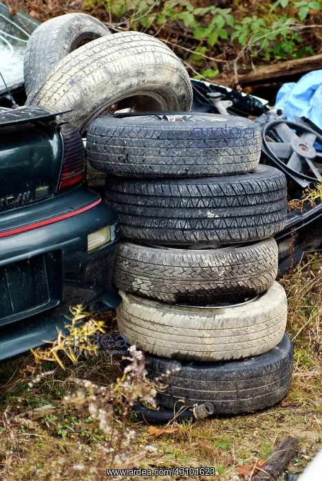 : Junkyard. Scene from an auto junkyard : Junkyard. Scene from an auto junkyard