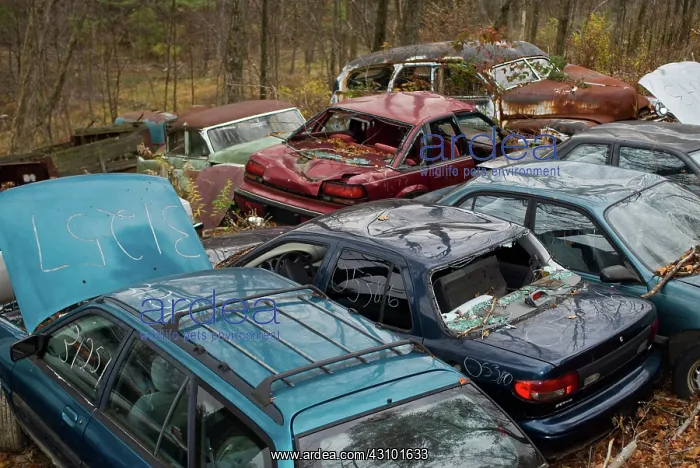 : Junkyard. Scene from an auto junkyard : Junkyard. Scene from an auto junkyard