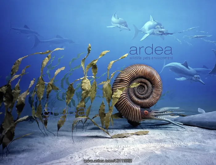 : Jurassic ocean : Jurassic ocean