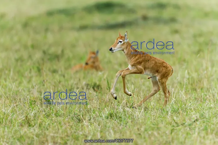 : just after birth : just after birth