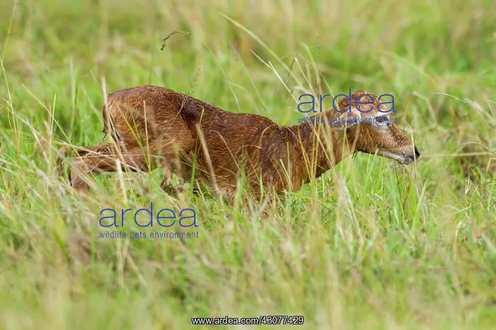 : just after birth : just after birth