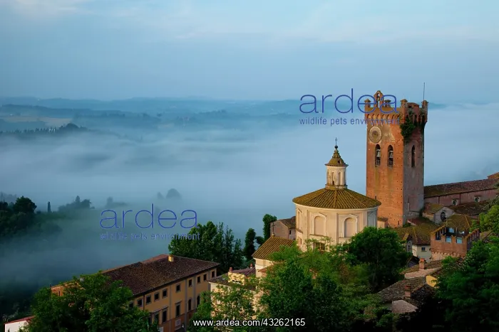  : Just before a misty dawn above the medieval