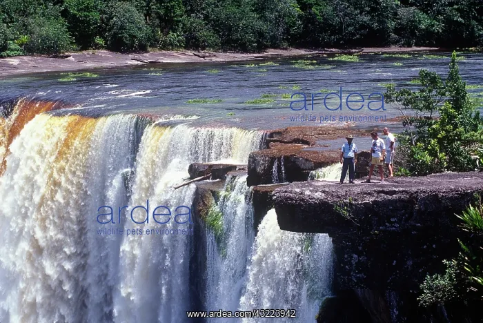 : Kaieteur Falls, Guyana : Kaieteur Falls, Guyana