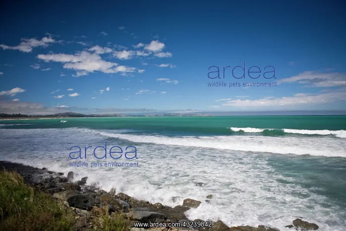  : Kaikoura, New Zealand. Kaikoura is known