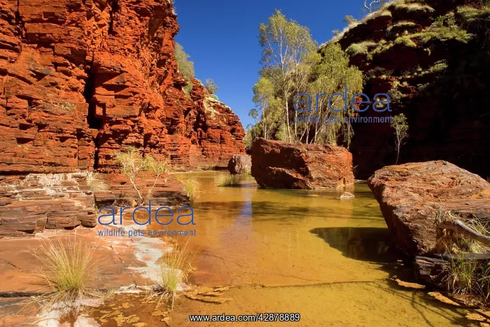 : Kalamina Gorge - a river flows down Kalamina Gorge : Kalamina Gorge - a river flows down Kalamina Gorge