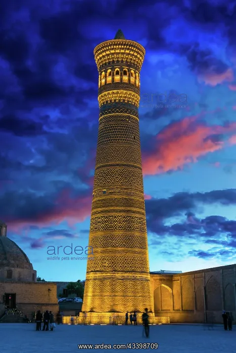 : Kalan minaret in the Historic Centre of Bukhara : Kalan minaret in the Historic Centre of Bukhara