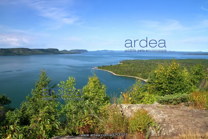 : Kama Bay is the northern most portion of : Kama Bay is the northern most portion of