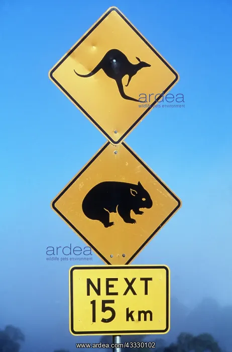 : Kangaroo & Wombat Road Sign : Kangaroo & Wombat Road Sign
