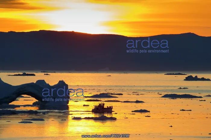 : Kangia Boat Fishing Boat used for tourist tours with ic : Kangia Boat Fishing Boat used for tourist tours with ic