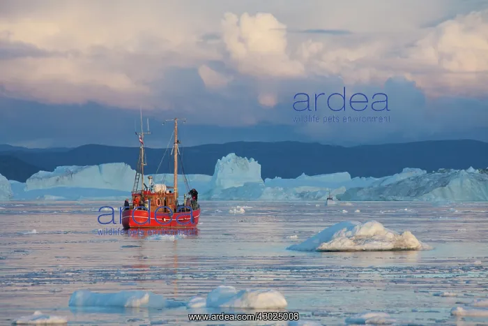 : Kangia Boat Fishing Boat used for tourist tours with ic : Kangia Boat Fishing Boat used for tourist tours with ic