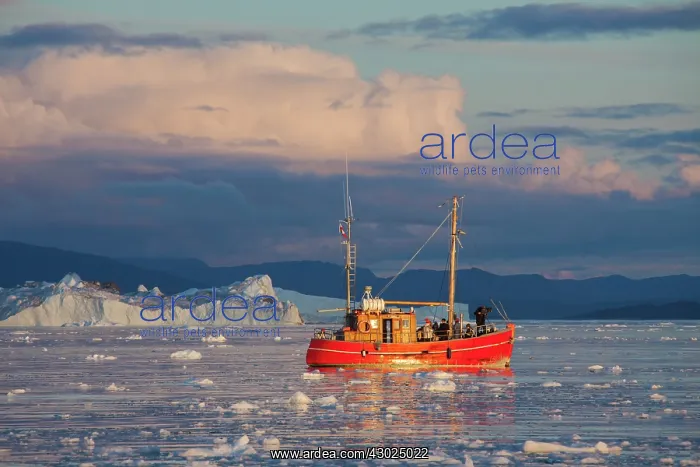 : Kangia Boat Fishing Boat used for tourist tours with ic : Kangia Boat Fishing Boat used for tourist tours with ic