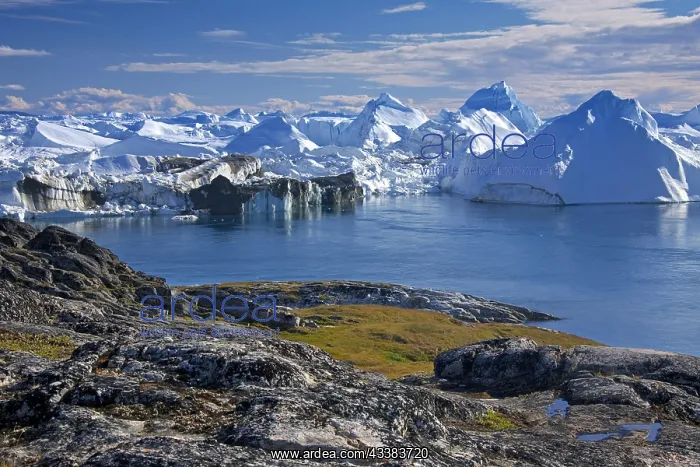 : Kangia Icefjord, Disko-Bay, UNESCO-World Heritage Site