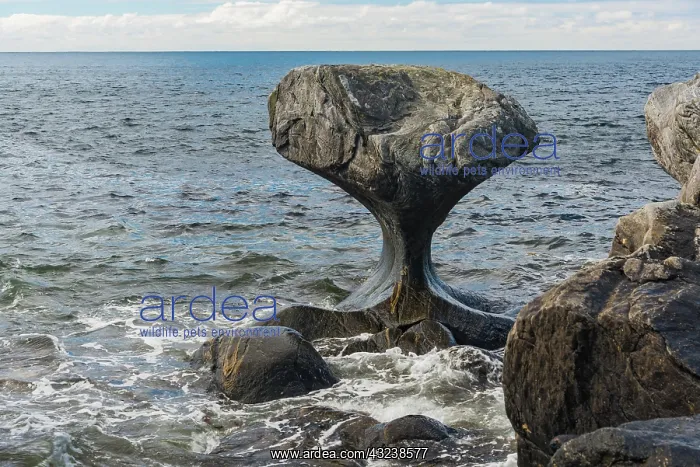 : Kannesteinen, Maloy, Vagsoy, Sogn og Fjordane, Norway : Kannesteinen, Maloy, Vagsoy, Sogn og Fjordane, Norway