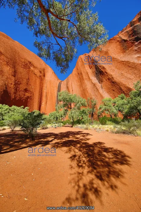 : The Kantju Gorge at Uluru, Ayers Rock, Uluru-Kata : The Kantju Gorge at Uluru, Ayers Rock, Uluru-Kata