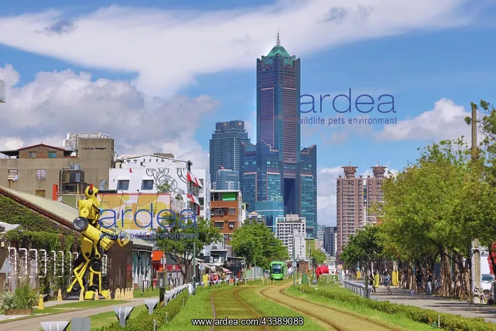 : Kaohsiung Light Rail Tram and 85 Sky Tower, Kaohsiung, Taiwa : Kaohsiung Light Rail Tram and 85 Sky Tower, Kaohsiung, Taiwa