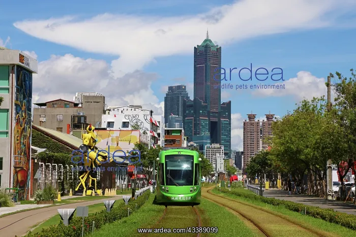 : Kaohsiung Light Rail Tram and 85 Sky Tower, Kaohsiung, Taiwa : Kaohsiung Light Rail Tram and 85 Sky Tower, Kaohsiung, Taiwa