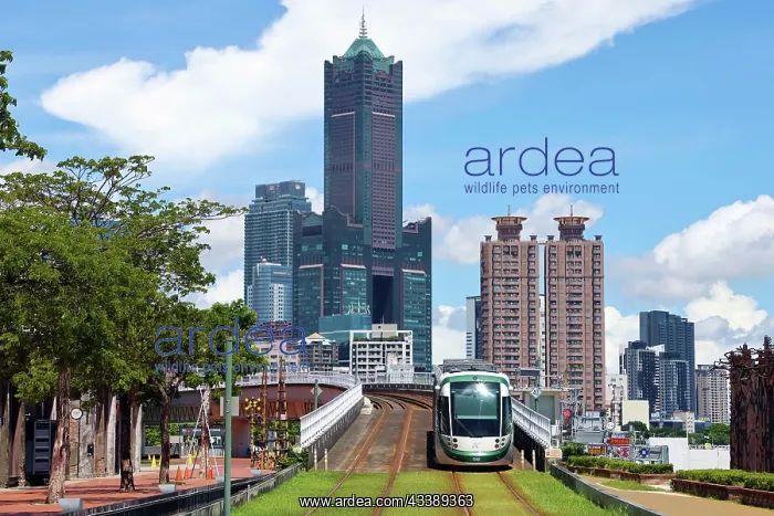 : Kaohsiung Light Rail Tram and 85 Sky Tower, Kaohsiung, Taiwa : Kaohsiung Light Rail Tram and 85 Sky Tower, Kaohsiung, Taiwa