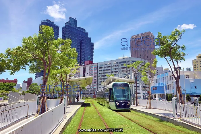 : Kaohsiung Light Rail Tram Station, Kaohsiung, Taiwan : Kaohsiung Light Rail Tram Station, Kaohsiung, Taiwan