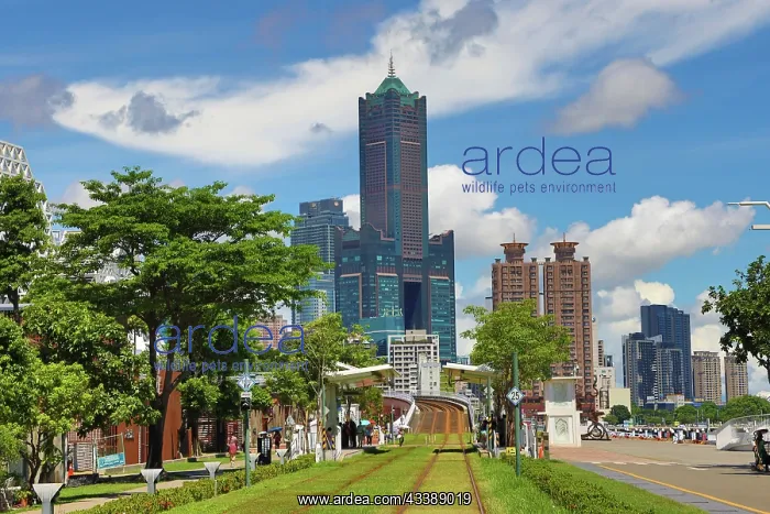 : Kaohsiung Light Rail Tram Station and 85 Sky Tower, Kaohsiun : Kaohsiung Light Rail Tram Station and 85 Sky Tower, Kaohsiun