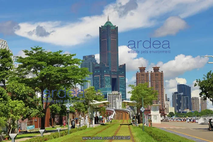 : Kaohsiung Light Rail Tram Station and 85 Sky Tower, Kaohsiun : Kaohsiung Light Rail Tram Station and 85 Sky Tower, Kaohsiun