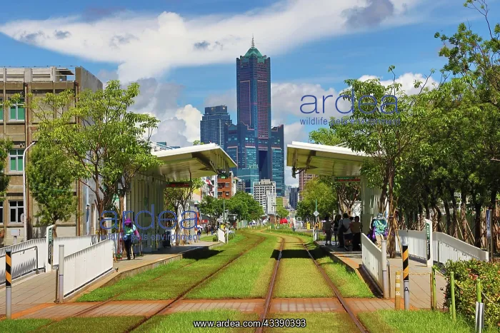 : Kaohsiung Light Rail Tram Station and 85 Sky Tower, Kaohsiun : Kaohsiung Light Rail Tram Station and 85 Sky Tower, Kaohsiun