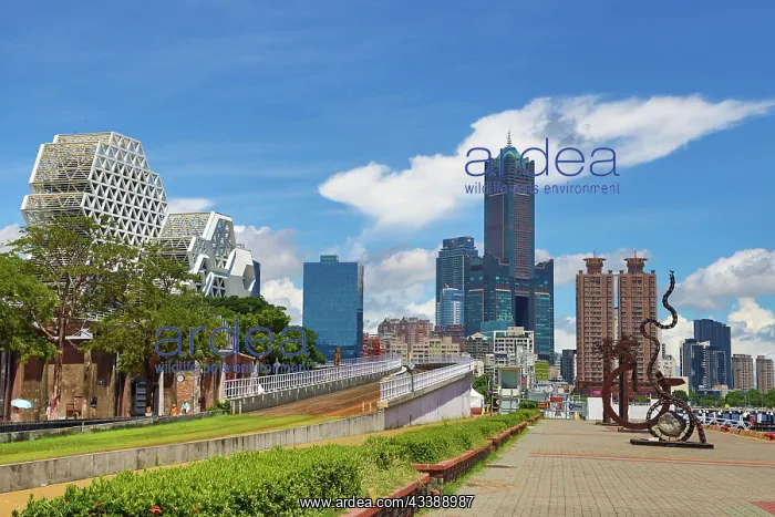 : Kaohsiung Light Rail Tram track and 85 Sky Tower, Kaohsiung : Kaohsiung Light Rail Tram track and 85 Sky Tower, Kaohsiung