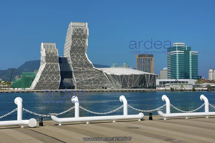 : The Kaohsiung Music Center in Kaohsiung Harbour : The Kaohsiung Music Center in Kaohsiung Harbour