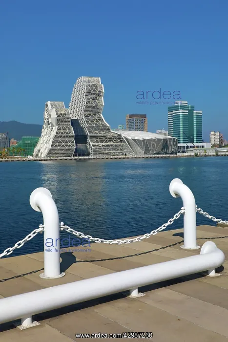 : The Kaohsiung Music Center in Kaohsiung Harbour : The Kaohsiung Music Center in Kaohsiung Harbour
