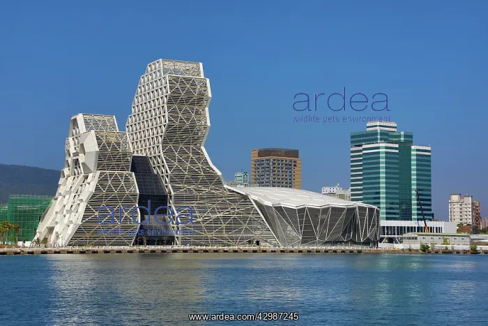  : The Kaohsiung Music Center in Kaohsiung Harbour