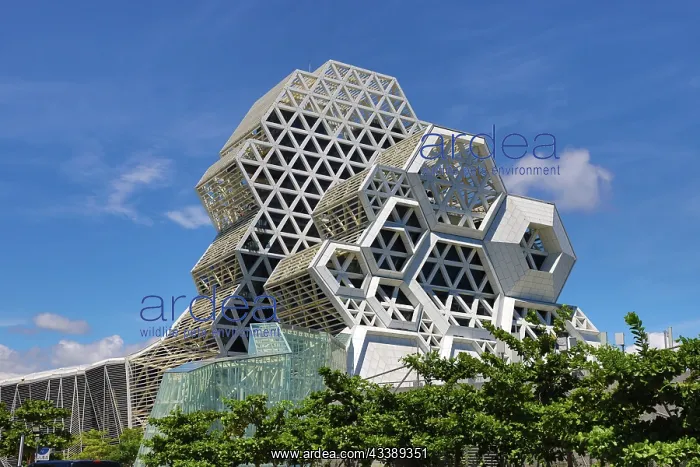 : Kaohsiung Music Center, Kaohsiung, Taiwan : Kaohsiung Music Center, Kaohsiung, Taiwan