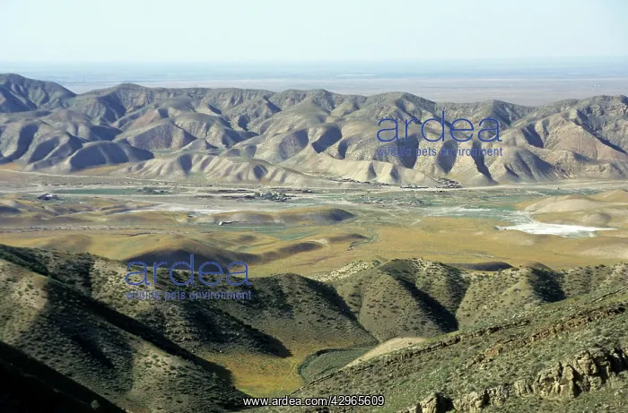 : Karahoudan village - in foothills of Kopetdag mountains : Karahoudan village - in foothills of Kopetdag mountains