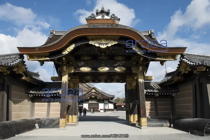 : Karamon Gate - leading into Ninomaru-goten Palace : Karamon Gate - leading into Ninomaru-goten Palace