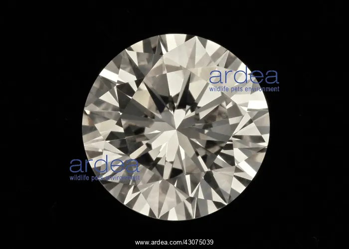 : Two Karat Diamond : Two Karat Diamond
