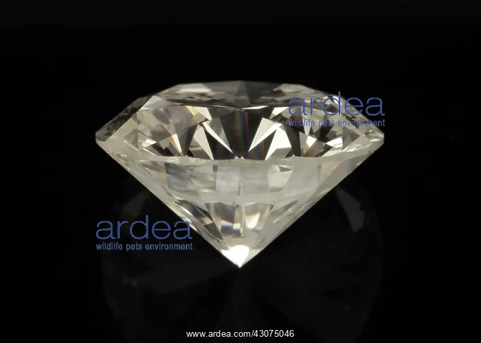 : Two Karat Diamond : Two Karat Diamond