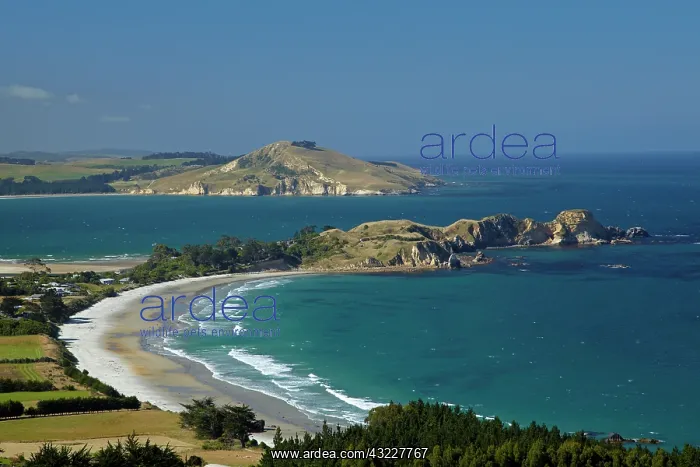 : Karitane Coastline, Otago, South Island : Karitane Coastline, Otago, South Island