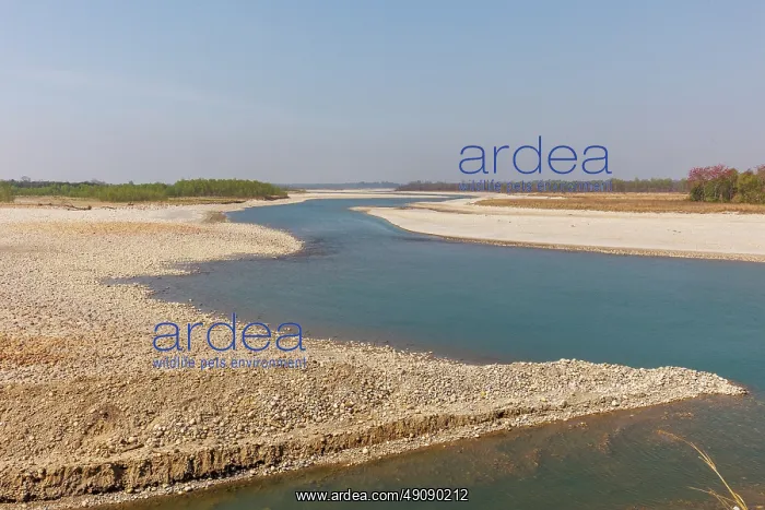 : Karnali river in Bardiya national park : Karnali river in Bardiya national park