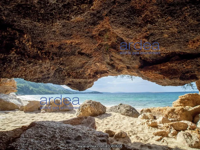  : Karst cave on the sandy beach near the campsite