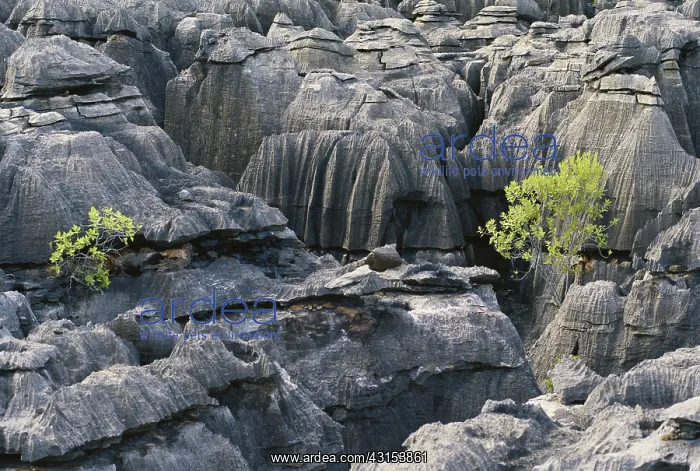  : Karst Formations in Australia