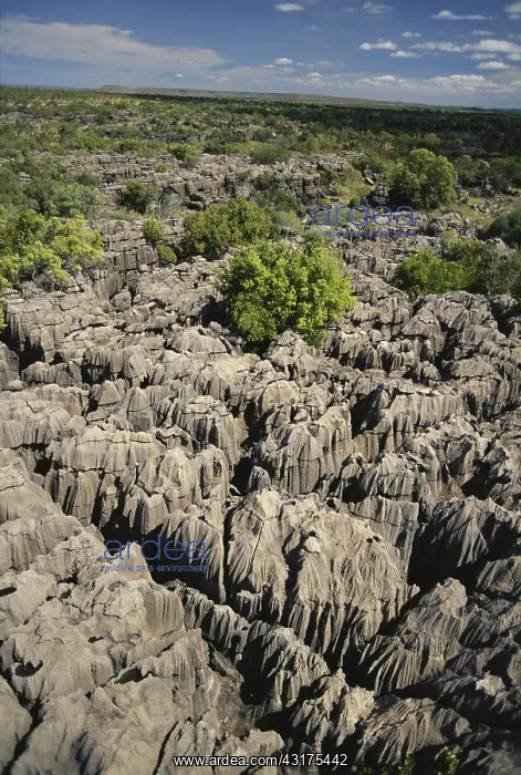 : Karst Formations in Australia : Karst Formations in Australia