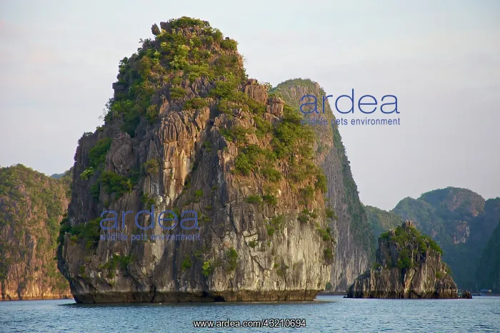 : Karst formations, Cat Ba national park : Karst formations, Cat Ba national park
