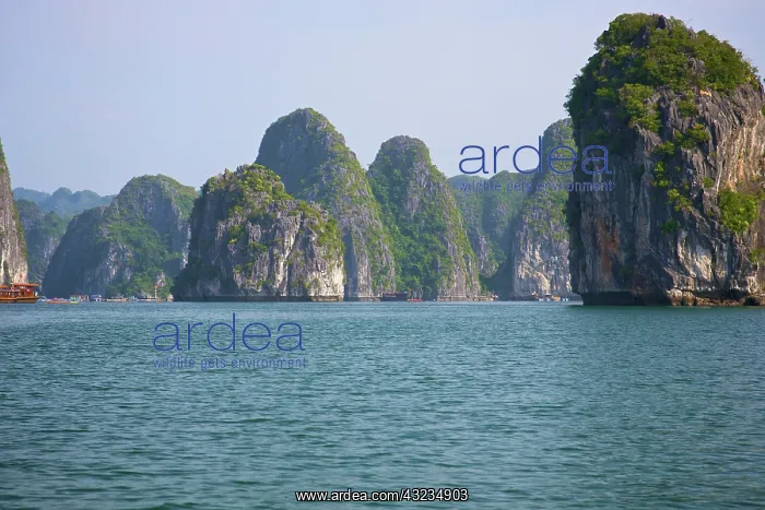 : Karst formations, Cat Ba national park : Karst formations, Cat Ba national park