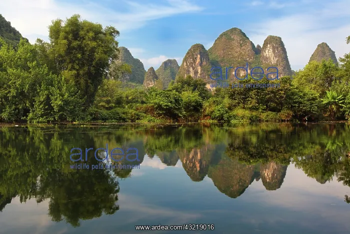 : Karst formations reflected on Yulong River : Karst formations reflected on Yulong River