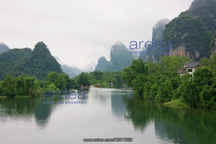 : Karst hills along the Li River area, Yangshuo : Karst hills along the Li River area, Yangshuo
