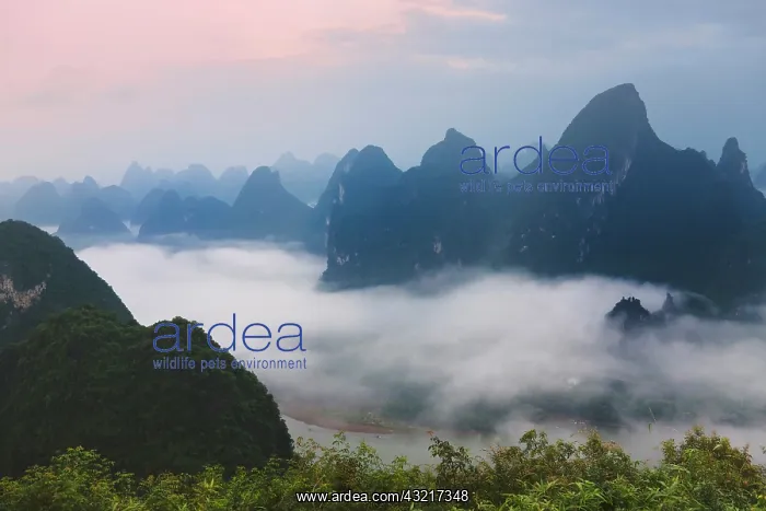 : Karst hills in morning mist, Li River area : Karst hills in morning mist, Li River area
